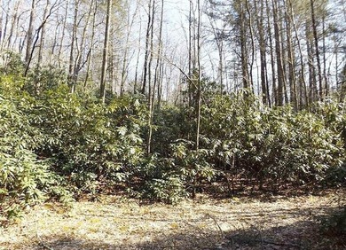 Eye Appealing from all Angles! Approx 288 Acres Nestled in the - photo 4