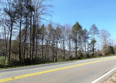 Eye Appealing from all Angles! Approx 288 Acres Nestled in the - photo 6