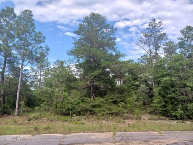 Lake Lot For Sale in Chipley, Florida