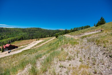 Discover a prime .58-acre lot in West Village at Eagle Point Ski - photo 12