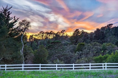 Rarely available, Loma Alta Ranch offers nearly 20 acres in one - photo 14