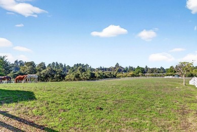 Rarely available, Loma Alta Ranch offers nearly 20 acres in one - photo 18