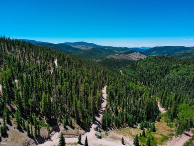 Discover a prime .58-acre lot in West Village at Eagle Point Ski - photo 21