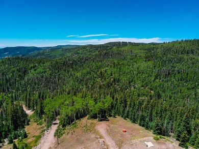 Discover a prime .58-acre lot in West Village at Eagle Point Ski - photo 22