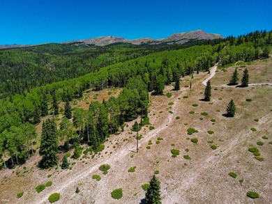 Discover a prime .58-acre lot in West Village at Eagle Point Ski - photo 24