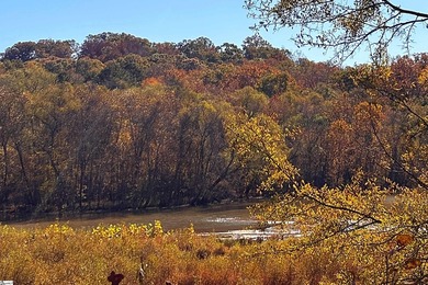 (private lake, pond, coastal) Acreage For Sale in Laurens South Carolina