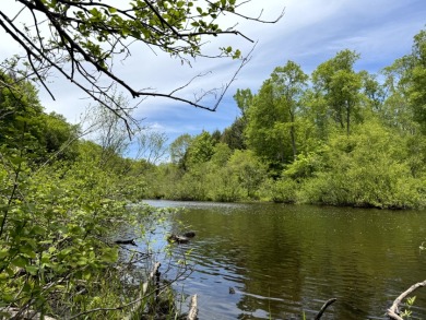 Mad River Camp Site
- Lake Lot For Sale in Florence, New York