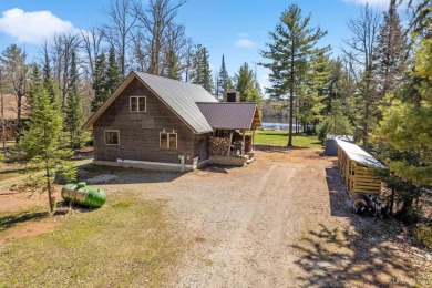 Lake Condo For Sale in Daggett, Michigan