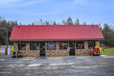 Glendale Lake Commercial For Sale in Patton Pennsylvania