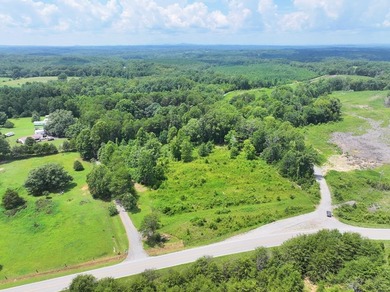 Stockton Lake Acreage For Sale in Ridgeway Virginia