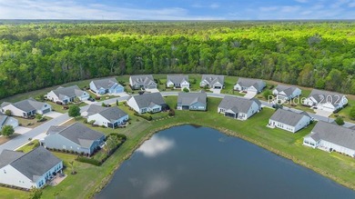 Rare single-story ranch home with FULL lagoon frontage on an 11 - photo 31