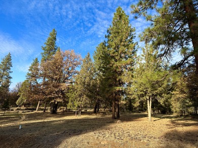 Upper Klamath Lake Lot For Sale in Klamath Falls Oregon