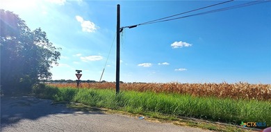 Garner Lake  Lot For Sale in Granger Texas