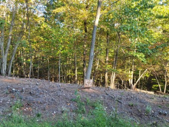 Lake Lot For Sale in Bedford, Virginia