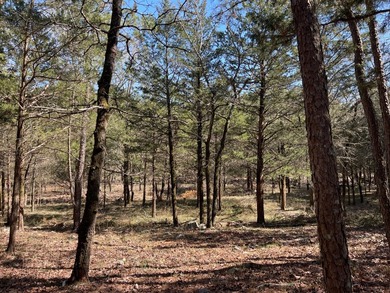 Discover your own private escape in the heart of the Kiamichi - photo 3