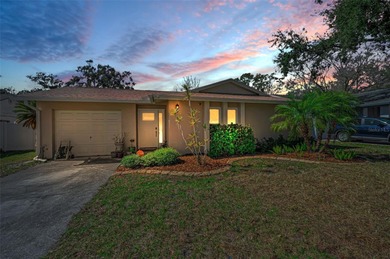 Lake Tarpon Home Sale Pending in Palm Harbor Florida