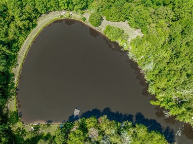 1500 FEET OF WATER FRONTAGE on beautiful Lake Sinclair. This - photo 11