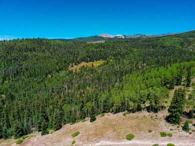 Discover a prime .50-acre lot in the desirable West Village - photo 11