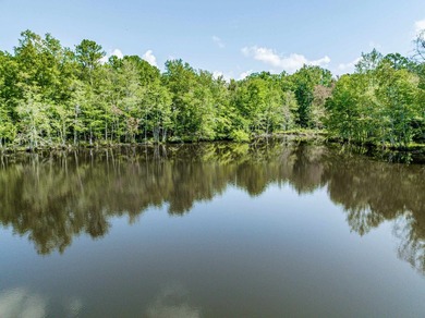 1500 FEET OF WATER FRONTAGE on beautiful Lake Sinclair. This - photo 12