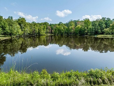 1500 FEET OF WATER FRONTAGE on beautiful Lake Sinclair. This - photo 14