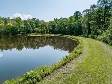 1500 FEET OF WATER FRONTAGE on beautiful Lake Sinclair. This - photo 15