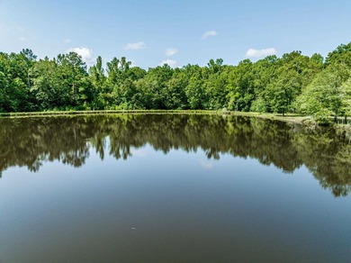 1500 FEET OF WATER FRONTAGE on beautiful Lake Sinclair. This - photo 17