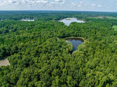1500 FEET OF WATER FRONTAGE on beautiful Lake Sinclair. This - photo 18