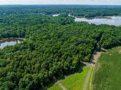 1500 FEET OF WATER FRONTAGE on beautiful Lake Sinclair. This - photo 19