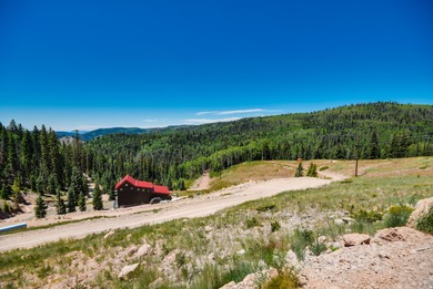 Discover a prime .50-acre lot in the desirable West Village - photo 19