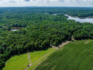 1500 FEET OF WATER FRONTAGE on beautiful Lake Sinclair. This - photo 20