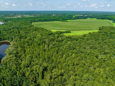1500 FEET OF WATER FRONTAGE on beautiful Lake Sinclair. This - photo 21