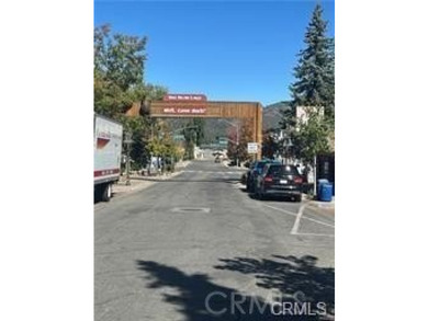 Beautiful Single-Story Mountain getaway in the city of Big Bear - photo 21
