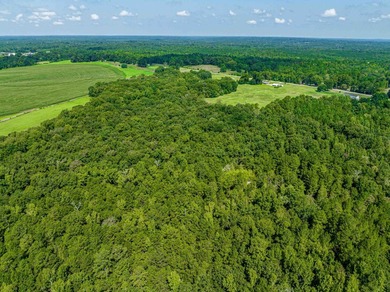 1500 FEET OF WATER FRONTAGE on beautiful Lake Sinclair. This - photo 22