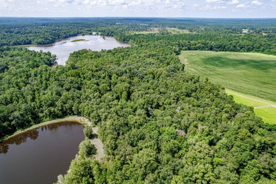 1500 FEET OF WATER FRONTAGE on beautiful Lake Sinclair. This - photo 23