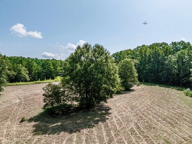 1500 FEET OF WATER FRONTAGE on beautiful Lake Sinclair. This - photo 27