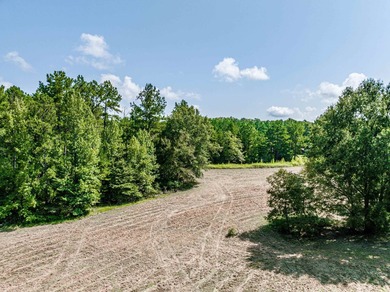 1500 FEET OF WATER FRONTAGE on beautiful Lake Sinclair. This - photo 29
