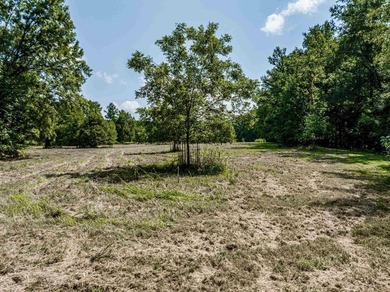 1500 FEET OF WATER FRONTAGE on beautiful Lake Sinclair. This - photo 30