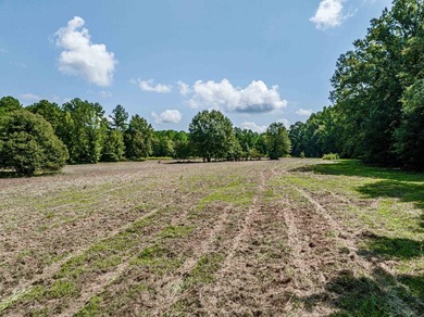 1500 FEET OF WATER FRONTAGE on beautiful Lake Sinclair. This - photo 31
