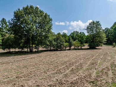 1500 FEET OF WATER FRONTAGE on beautiful Lake Sinclair. This - photo 32