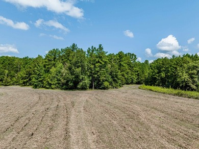 1500 FEET OF WATER FRONTAGE on beautiful Lake Sinclair. This - photo 33