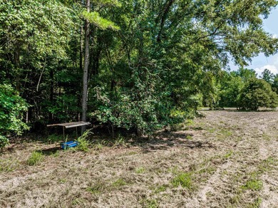 1500 FEET OF WATER FRONTAGE on beautiful Lake Sinclair. This - photo 34