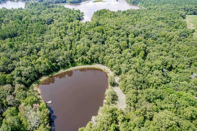 1500 FEET OF WATER FRONTAGE on beautiful Lake Sinclair. This - photo 35