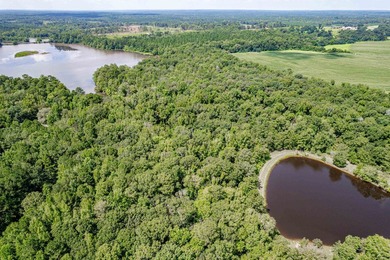 1500 FEET OF WATER FRONTAGE on beautiful Lake Sinclair. This - photo 36