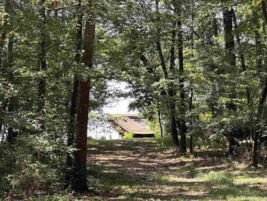 1500 FEET OF WATER FRONTAGE on beautiful Lake Sinclair. This - photo 39