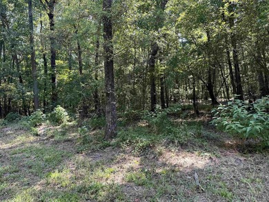 1500 FEET OF WATER FRONTAGE on beautiful Lake Sinclair. This - photo 40
