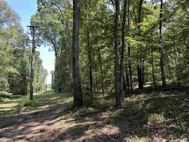 1500 FEET OF WATER FRONTAGE on beautiful Lake Sinclair. This - photo 41