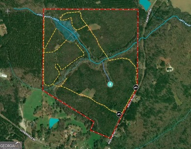 (private lake, pond, coastal) Acreage For Sale in Luthersville Georgia