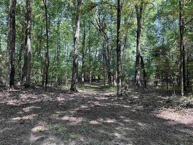 1500 FEET OF WATER FRONTAGE on beautiful Lake Sinclair. This - photo 42