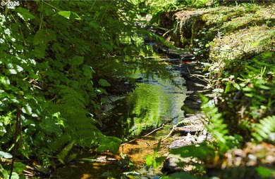 Tucked away at the end of a private driveway, this secluded and - photo 2