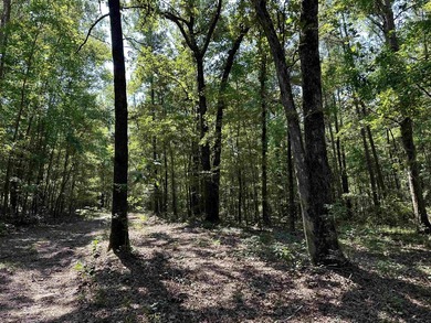 1500 FEET OF WATER FRONTAGE on beautiful Lake Sinclair. This - photo 43